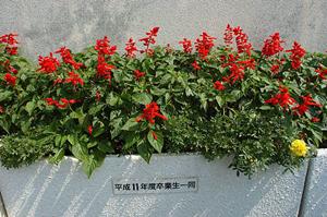 発達障害を一貫してサポートする教室