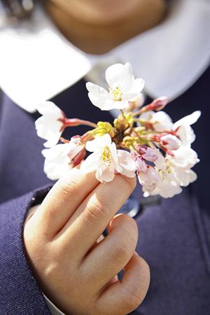 成城学園前のプリスクール選び：安心・信頼のインターナショナルスクールの魅力とポイント